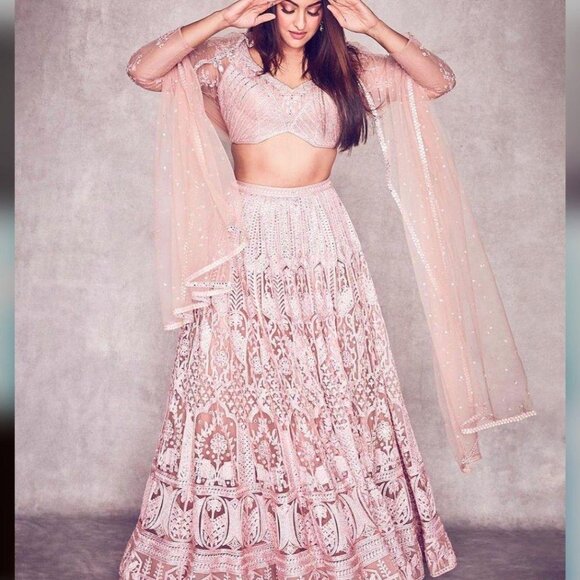 Lehengha - Picture 9 of 9